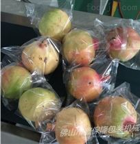 全自动百香果包装机